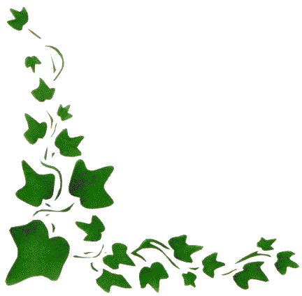 Ivy Stencil Classic Wall Border Leaf Stencils for Painting